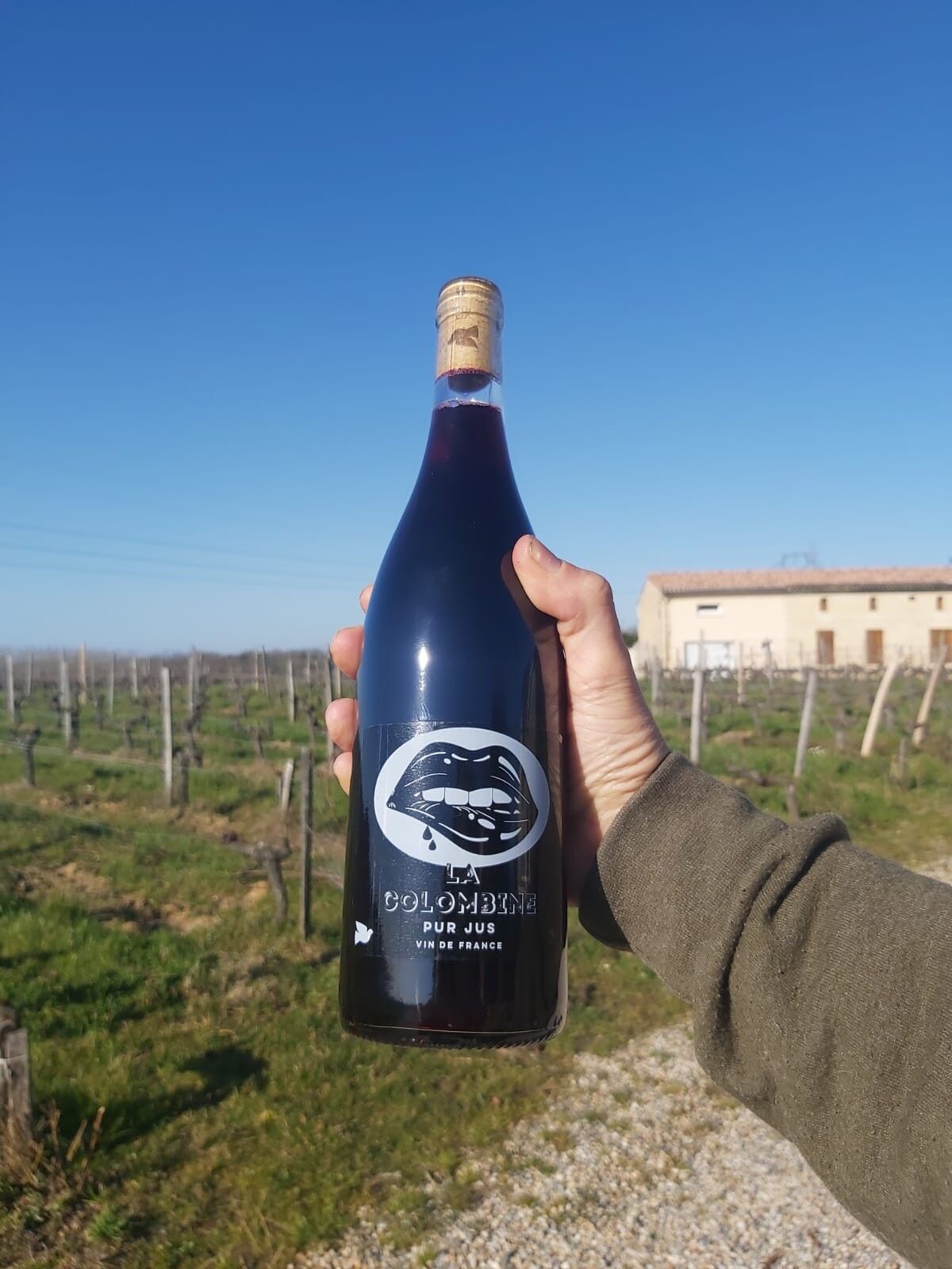 La Colombine, Pure Juice, Natural Wine | ORGANIC and biodynamic wine