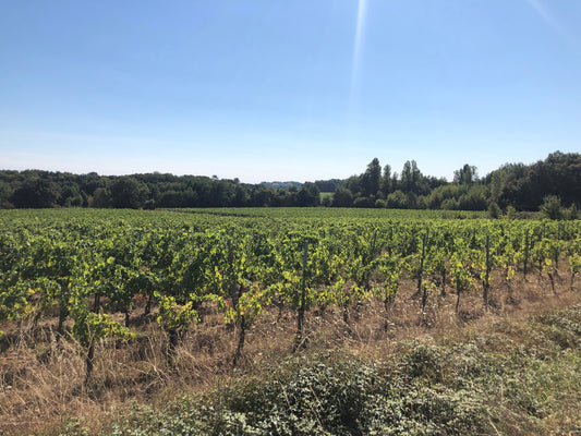 Château Les Graves de Viaud