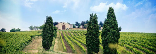 Domaine La Louvière