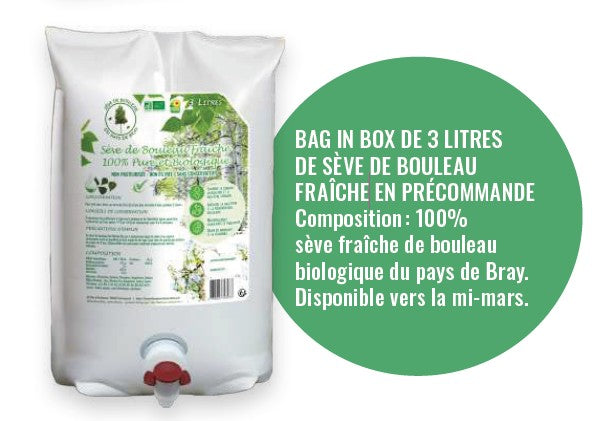 Fresh Birch Sap - 3 L - Bag in Box
